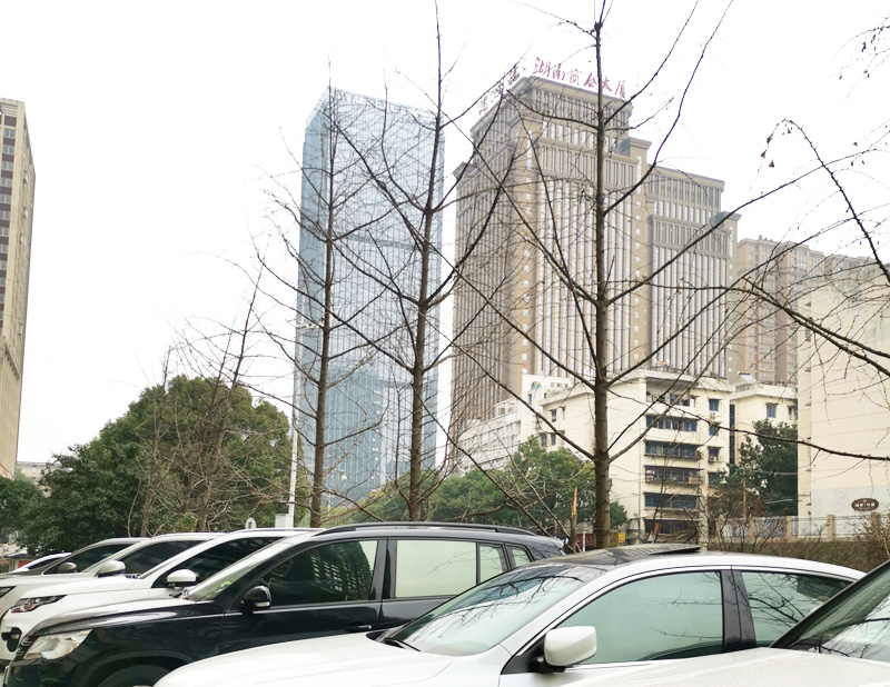 �ɹ����� �����L(zh��ng)ɳ����(w��)�{(di��o)������ �W(w��ng)վ���O(sh��)�cվȺ��(y��u)����ͬ