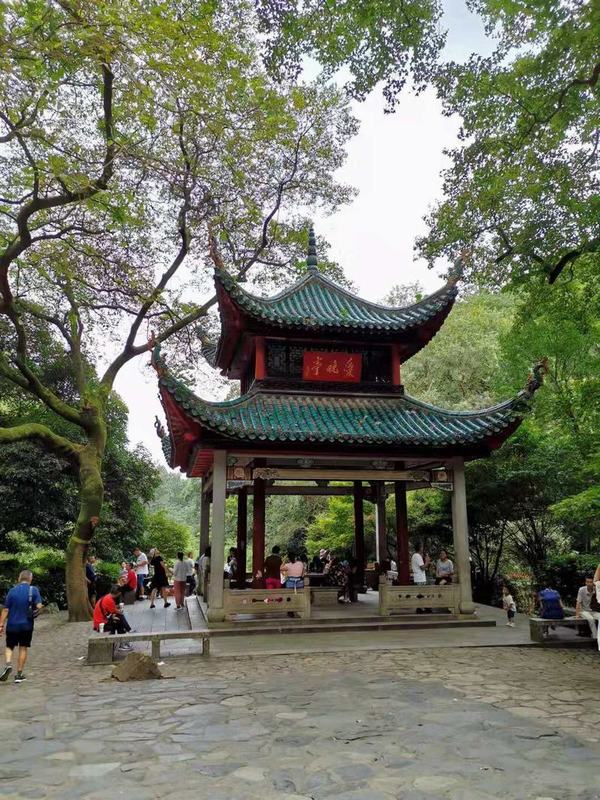 ��´ɽ�_�����W(w��ng)�j(lu��)�������W(w��ng)վʮ������������´ɽ��ӛ