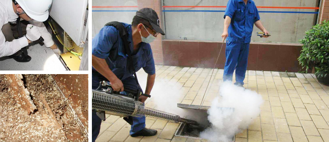 �ɹ�����  �ѻ����l(f��)����,�ѻ�������,�ѻ���ρ����  �W(w��ng)վ���O(sh��)��ͬ